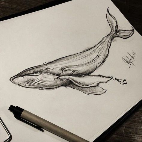 Whale Sketch, Whale Drawing, Shark Drawing, Whale Tattoos, Animal Drawings Sketches, Pen Art Drawings, Whale Art, Dark Art Drawings, Dark Art Illustrations