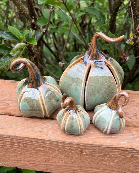 Anita Mraz | My newest family of pumpkins has come out of the kiln. @clayspacelisle #ClaySpaceLisle #pottery #ceramics #instaartist #lisleillinois... | Instagram Fall Ceramics Pottery, Fall Ceramics Ideas, Pumpkin Pottery Ideas, Pottery Easy Ideas, Ceramic Pumpkins Pottery, Ceramic Ideas Pottery, Pottery Pumpkins, Fall Pottery, Pumpkin Pottery