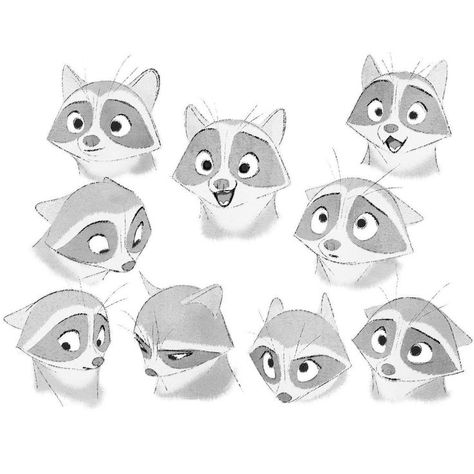 Racoon Illustration, Raccoon Drawing, James Woods, Expression Sheet, 강아지 그림, Character Design Sketches, 캐릭터 드로잉, Drawing Expressions, Racoon