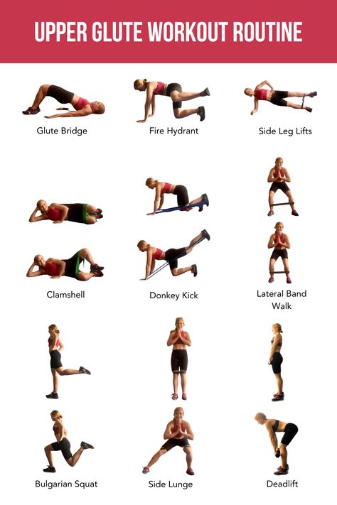 Department of Adulting - The Best Upper Glute Exercises to Tone and Strengthen Glute Workout Plan, Upper Glute Exercises, Upper Glutes, Glute Workout Routine, Arm Workout For Beginners, Glute Medius, Fit And Fabulous, Glute Exercises, Gluteus Medius