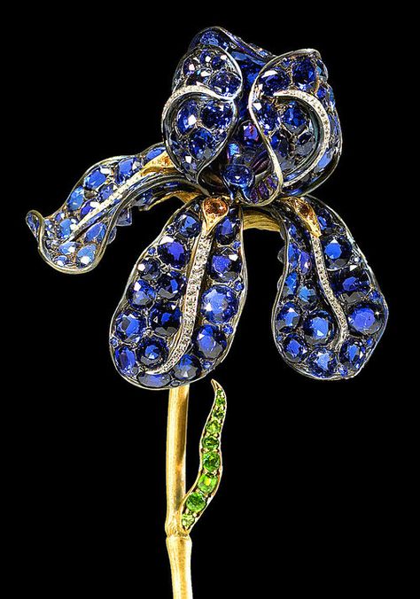 Detail of the Tiffany Iris Brooch by Paulding Farnham circa 1900, currently held by the Walters Art Museum Orchid Brooch, Yogo Sapphire, Cleopatra Jewelry, How To Wear Rings, Tiffany Art, Iris Flowers, Tiffany And Co, Bead Jewellery, The Shape