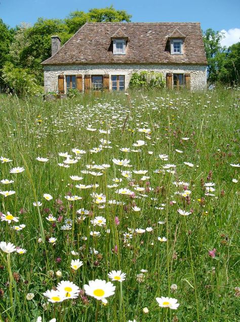 cottage field Cute Cottage, Dream Cottage, Cottage Core Aesthetic, Small Cottage, Farms Living, English House, French Country Cottage, English Cottage, Cozy Cottage