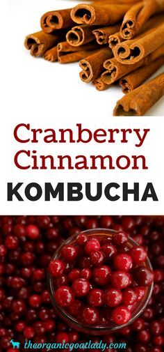 Kombucha Flavours, Kombucha Making, Paleo Beverages, Best Probiotic Foods, Kombucha Recipes, Fermented Recipes, Best Kombucha, Kombucha Brewing, Fermented Drinks