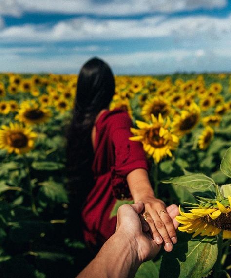 Sunflower Field - North Shore Oahu Sunflower Field Photography, Sunflower Field Pictures, Wedding Couple Pictures, Sunflower Photography, Sunflower Photo, North Shore Oahu, Sunflower Pictures, Sunflower Field, Foto Poses