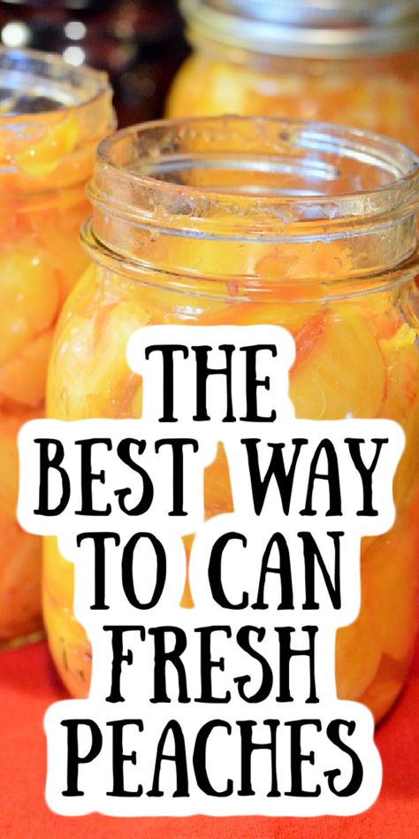 How To Can Peaches Without A Canner, Recipe For Canning Peaches, Canning Fresh Peaches Recipes, Canning Peaches In Water, Fresh Peach Canning Recipes, Preserving Fresh Peaches, Pressure Canning Peaches, Preserving Peaches Recipes, Preserving Peaches Canning Recipes