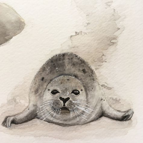 Seal Watercolor Painting, Seal Sketch, Seal Artwork, Seal Watercolor, Seal Painting, Seal Drawing, Boston Art, Watercolor Art Landscape, Art Tutorials Watercolor