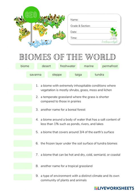 Biome Worksheets, Biomes Activities, Montessori Teaching, Montessori Geography, Biology Worksheet, Biology Classroom, Teaching Technology, Printable Math Worksheets, Word Recognition