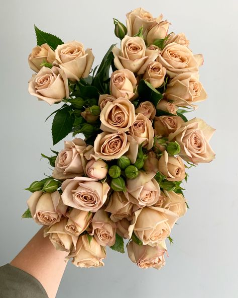 Rose And Olive Wedding, Micro Ceremony, Tan Roses, Cappuccino Rose, Wedding Palettes, Brown Roses, Beige Roses, Tan Flowers, Neutral Wedding Flowers