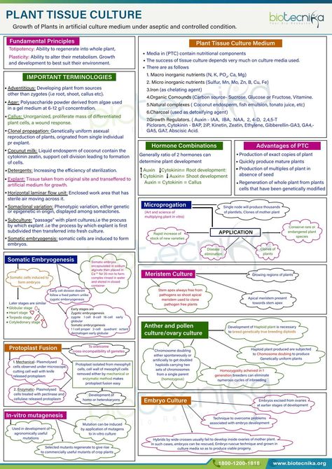 Plant Tissue Culture Tissue Biology Notes, Plant Tissue Biology Notes, Biotechnology Careers, Plant Tissue Culture, Pharmacology Mnemonics, Tissue Biology, Nursing Pharmacology, Learn Biology, Collage Photo Frame Design