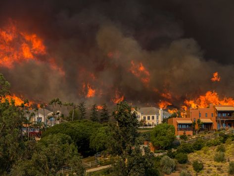 Malibu Rising, Brandi Glanville, Forest Ecosystem, Coral Bleaching, Arctic Sea, California Wildfires, Sea Level Rise, What Image, The Weather Channel