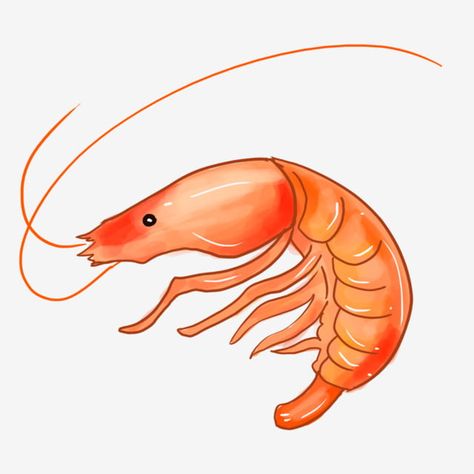 Shrimp Clipart, Cartoon Shrimp, Shrimp Drawing, Shrimp Cartoon, Sea Monkeys, Grilled Prawns, Mother's Day Background, Picture Pink, Shrimp Paste