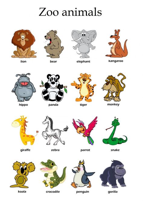 Kindergarten Animals, Animals For Children, Zoo Animals Kindergarten, Zoo Animal, Zoo Animals Preschool Worksheets, Animals For Kids Teaching, Wild Animal, Animals Worksheets For Kids, Wild Animals