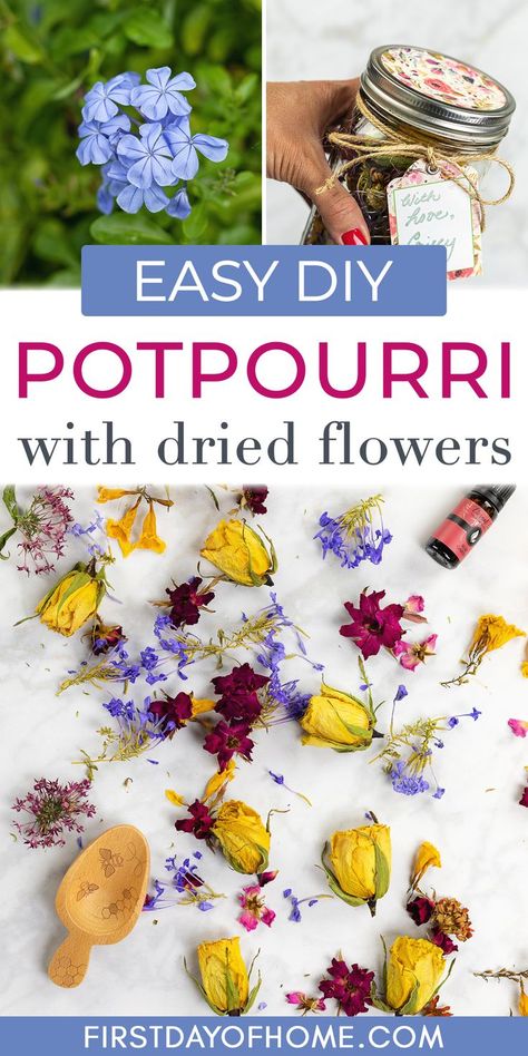 Steps showing fresh flowers, dried flowers, and a mason jar gift idea for homemade potpourri. Text overlay reads "Easy DIY Potpourri with Dried Flowers" Make Potpourri, Spring Potpourri, Potpourri Diy, How To Make Potpourri, Diy Potpourri, Potpourri Recipe, Room Air Freshener, Flower Drying, Potpourri Sachets