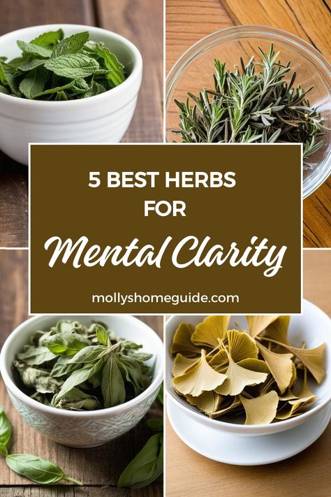 Discover the power of herbs for mental clarity with our selection of brain-boosting botanicals. Say goodbye to brain fog and hello to improved memory and cognitive function. Whether you're looking to enhance focus, combat stress with Ayurvedic herbs, or delve into lucid dreaming, we've got you covered! From Bacopa Monnieri to herbal nootropics, explore the best teas for your brain health at Herbal Academy. Herbs For Calming, Herbs For Memory And Focus, Herbs To Help With Memory, Teas For Brain Health, Herbs For Mental Health, Herbs For Mental Clarity, Herbal Tinctures Recipes, Medicinal Recipes, Learning Herbs