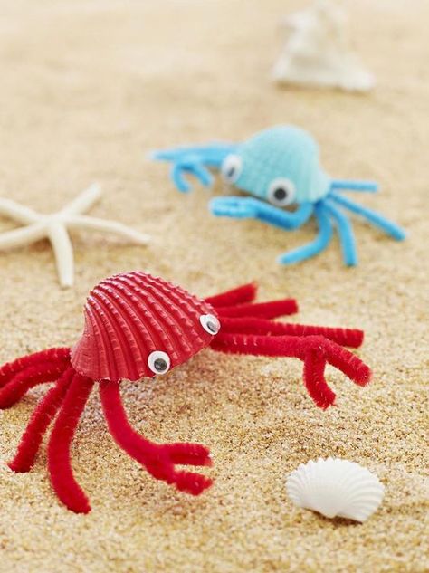 11 creative seashell crafts for kids Crab Crafts For Kids, Diy Crab, Seashell Animals, Red Crab, Pipe Cleaner Crafts, Summer Craft, Summer Crafts For Kids, Sand Table, Ocean Crafts