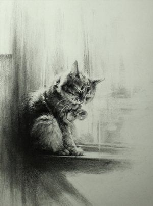 Artwork — Lindsey Kustusch Lindsey Kustusch, Charcoal Artwork, Sun Oil, Album Artwork Cover Art, Cats Art Drawing, Art Charcoal, Raven Art, Cat Sketch, Charcoal Sketch