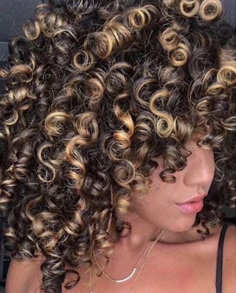 Hazelnut Brunette, Dye Your Own Hair, 30 Hair Color, Curly Highlights, Dyed Curly Hair, Highlights Curly Hair, Money Piece, Creamy Blonde, Colored Curly Hair