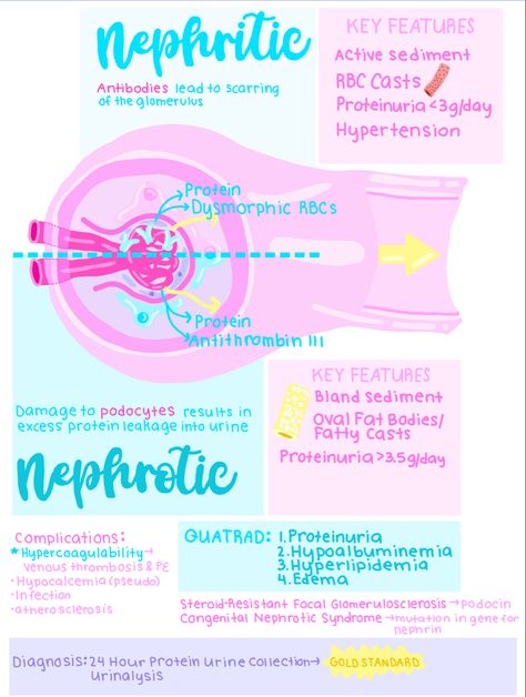 Nephritic Vs Nephrotic, Urinary Disorders Nursing, Picc Nurse, Medical Study Notes, Medsurg Nursing, Er Nursing, Nurse Bae, Physician Assistant Student, Wound Care Nursing