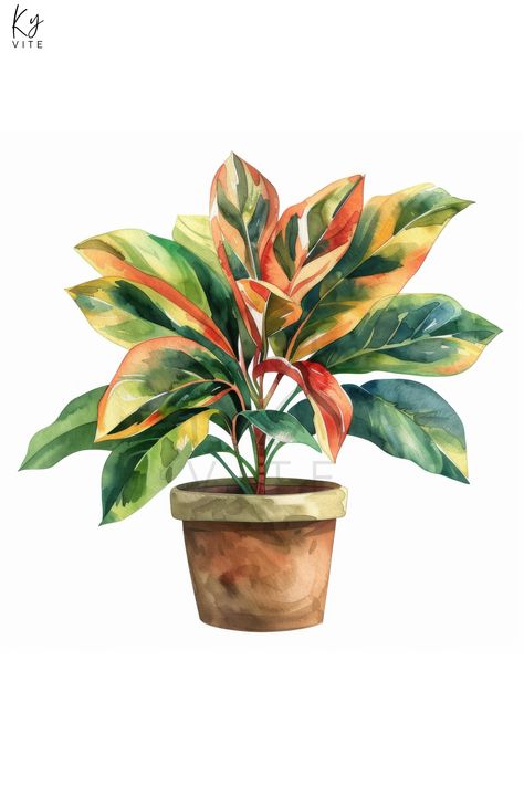 11 Autumn House Plant Potted Watercolor Clipart, Printable Digital Art for Crafts, Home Decor, Scrap Watercolor Plant Paintings, Plants Painting, Autumn House, Plant Watercolor, House Plant Pots, Nature Watercolor, Watercolor Plants, Big Plants, Watercolor Flower Art