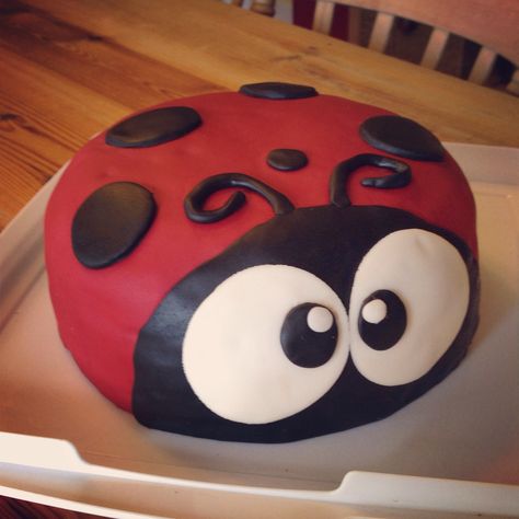 Lady bird cake Lady Bird Cake, Ladybird Cake, Ladybug Cakes, Bug Cake, Ladybug Cake, Bird Cake, 3rd Birthday Cakes, Bird Party, Bird Cakes