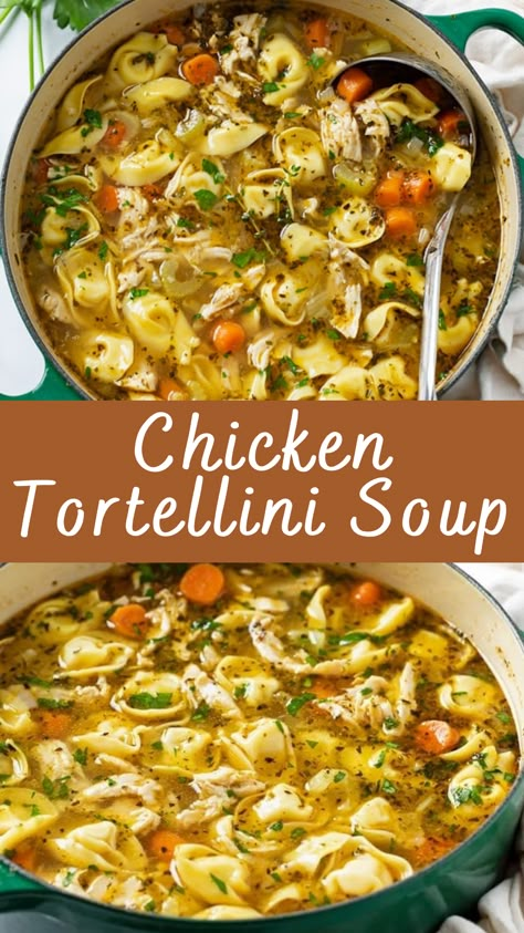 Chicken Tortellini Soup Recipe | Cheff Recipes Tortellini Soup Chicken Broth, Homemade Chicken Tortellini Soup, Soup Recipes Chicken Tortellini, Chicken Soup Recipes Tortellini, Simple Crockpot Recipes For Two, Tortellini And Chicken Soup, Chicken And Cheese Tortellini Soup, Easy Tortellini Recipes Soups, Chicken Cheese Tortellini Soup