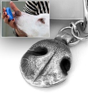 Dog Momentos, Tattoo Memorial, Dog Nose Print, Dog Shadow Box, Dogs Tattoo, Tattoo Dog, Astuces Diy, Dog Nose, Dog Crafts