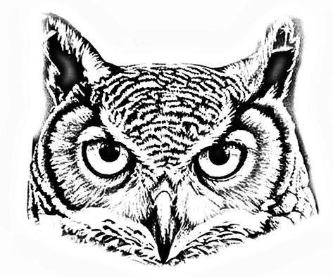 Owl Eyes Tattoo Stencil, Owl Face Tattoo Design, Owl Eyes Drawing, Owl Face Tattoo, Owl Tattoo Stencil, Owl Eyes Tattoo, Neck Tattoo Stencil, Owl Neck Tattoo, Dreamer Tattoo