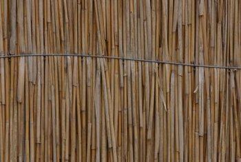 Reed Fence Ideas, Reed Fencing Ideas, Reed Fence, Fence Around Pool, Reed Fencing, Bamboo Garden Fences, Chicken Wire Fence, Kids Play Equipment, Garden Fences