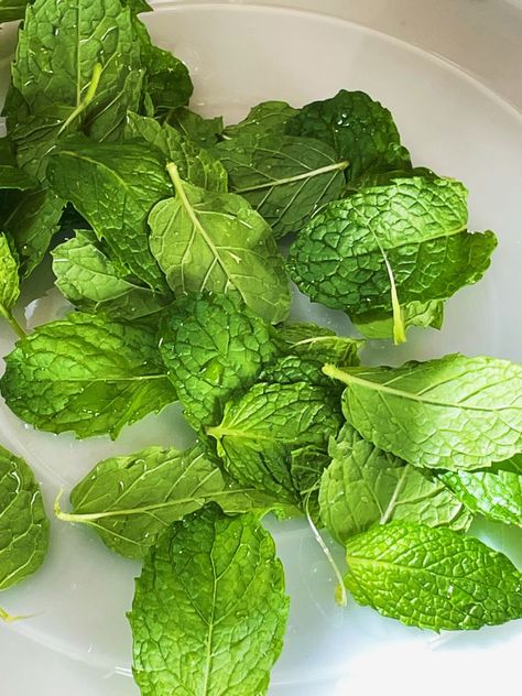 Mint Science Aesthetic, Mint Flavor Aesthetic, Mint Aethstetic, Mint Leaf, Mint Scent Aesthetic, Mint Leaf Aesthetic, Mint Leaves Aesthetic, Mint Herb Aesthetic, Mint Plant Aesthetic