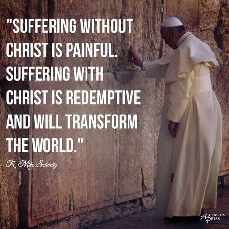 The Wailing Wall. Mary Mackillop, Father Mike Schmitz, The Sign Of The Cross, Catholic Gentleman, Saint Quotes Catholic, Sign Of The Cross, The Pope, Christian Devotions, Saint Quotes