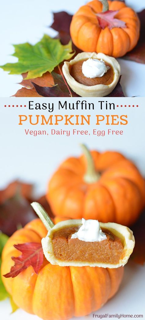 Mini Dog Pumpkin Pies, Mini Vegan Pumpkin Pies, Vegan Mini Pumpkin Pies, Dairy Free Mini Pumpkin Pies, Egg Free Muffins, Dairy Free Pumpkin Pie, Pumpkin Pie From Scratch, Tin Recipes, Dairy Free Pumpkin