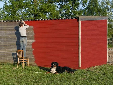 Flour Paint, Home Depot Paint, Dollar Store Christmas Decor, Paint Recipe, Inexpensive Christmas, Floating Dock, Earth Pigments, Dollar Store Christmas, Wood Cladding