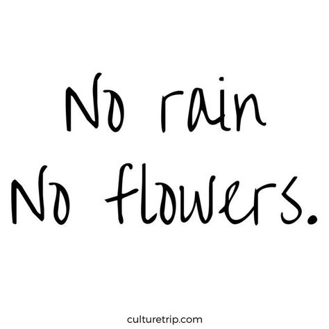 No Rain No Flowers Quote, Stone Quotes, Wedding Flower Ideas, Small Quote Tattoos, Small Quotes, No Rain No Flowers, No Rain, Tumblr Quotes, Flower Quotes