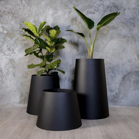 Bathroom Plants No Sunlight, Architectural Planters, Black Indoor Plant Pot, Contemporary Planters, Growing Greens, Steel Planters, Bathroom Plants, Healthy Environment, Self Watering