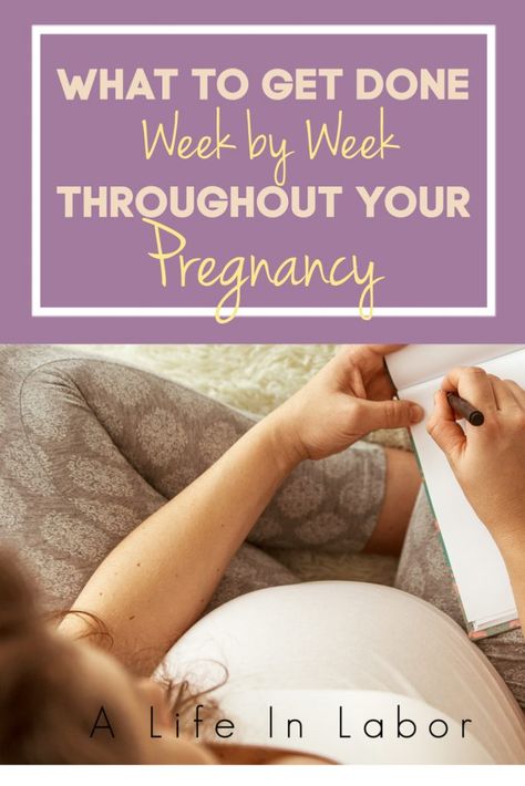 Baby Week By Week, Trent Boult, 5 Weeks Pregnant, Baby Weeks, Pregnancy Checklist, Pregnancy Milestones, Pregnancy Planner, Happy Pregnancy, Pregnancy Books