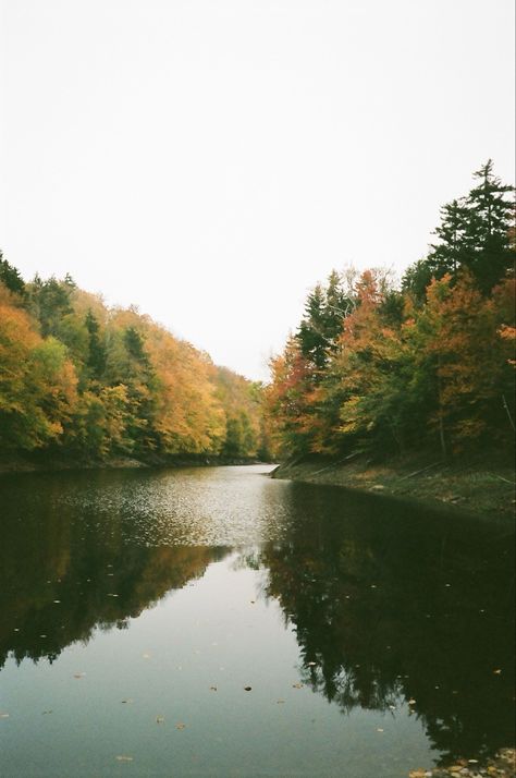 Kodak 400 Film, Fall Film Photography, Nature On Film, Nature Film Photography, Vermont In Fall, 35mm Film Photography Aesthetic, Portra 400 35mm, Kodak 35mm Film, Film Photography Aesthetic