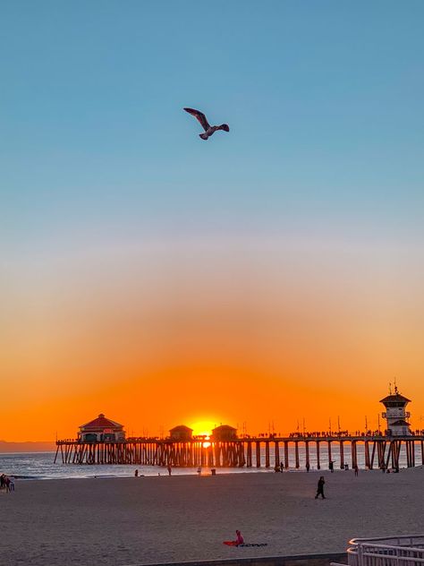 Beautiful Beach Pictures, Pacific City, Huntington Beach California, California Vibe, Senior Trip, Beach Boardwalk, Surf City, California Photography, California Love