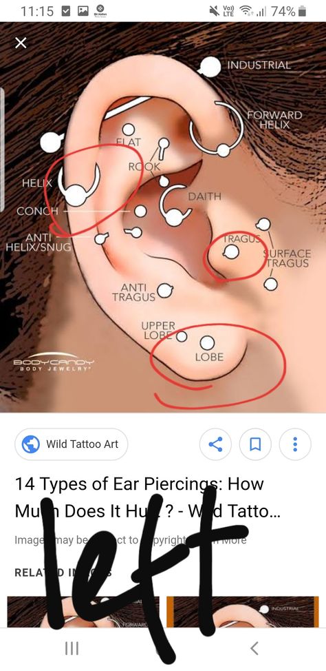 Surface Tragus Piercing, Surface Tragus, Anti Helix Piercing, Ear Peircings, Surface Piercing, Types Of Ear Piercings, Anti Tragus, Wild Tattoo, Forward Helix