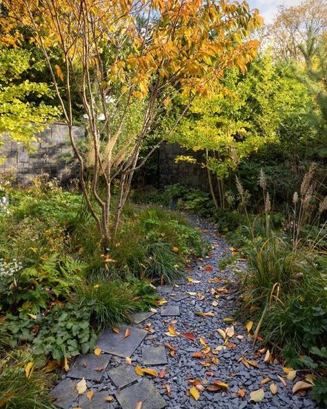 Stefano Marinaz Garden, Deschampsia Cespitosa Goldtau, Woodland Edge Garden, Stefano Marinaz, Calamagrostis Brachytricha, Woodland Planting, Deschampsia Cespitosa, Edge Garden, Mass Planting