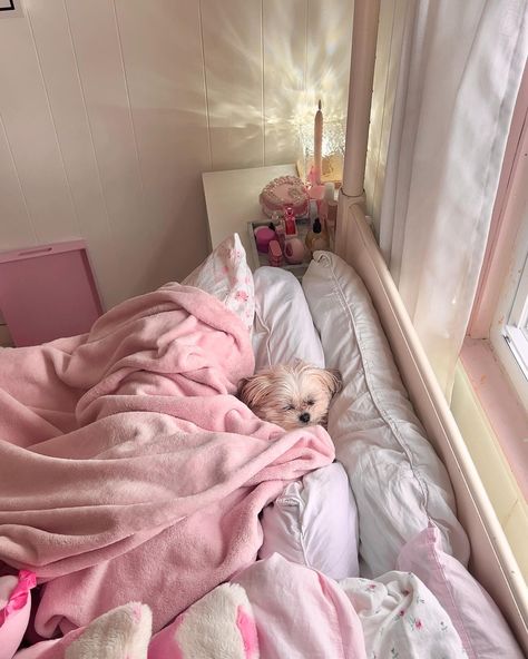 beanie baby🌸🧸🎀💫🩷 Bedroom Ideas Aesthetic, Pink Bedrooms, Woman Bedroom, Bedding Essentials, Dog Rooms, Pink Bedroom, Cozy Throws, Pink Bedding, Bedroom Inspo