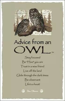 Advice from an Owl – Witches Of The Craft® Owl Quotes, Owl Wisdom, Spotted Owl, Wood Badge, Animal Spirit Guides, Owl Crafts, Wise Owl, Animal Totems, Owl Art