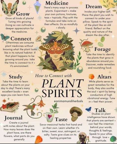 Flora Empath, Herbs And Plants For Witchcraft, Hyssop Benefits Spiritual, Become One With Nature, Herbs For Communication, Green Witch Tattoo, Appalachian Folklore, Green Witchcraft Aesthetic, Forest Witchcraft