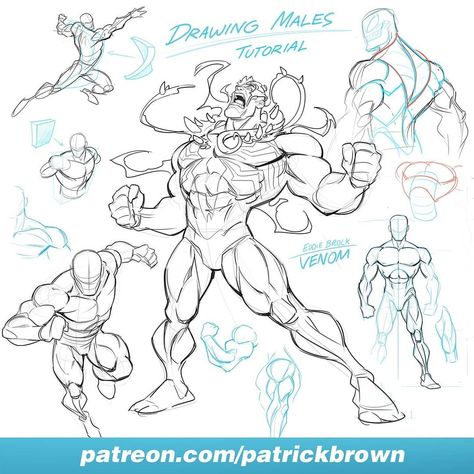 Sketch Anatomy, Captain America Comic Art, Patrick Brown, Animation Drawing Sketches, Drawing Superheroes, Comic Book Art Style, Human Figure Drawing, Human Anatomy Art, Figure Drawing Reference