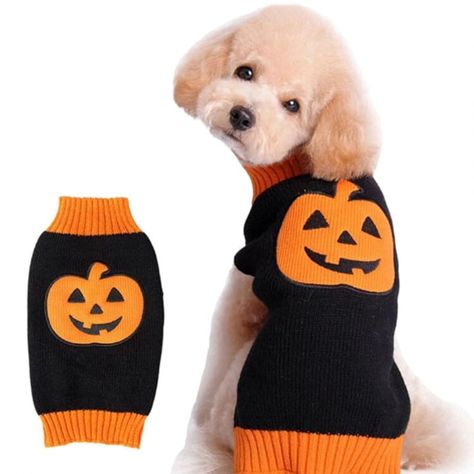 Party For Cat, Cat And Puppy, Dog Skull, Pumpkin Sweater, Pet Sweaters, Sweater Pumpkins, Skull Pumpkin, Black Pumpkin, Pet Sweater