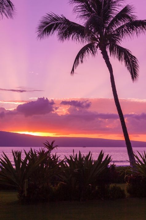 Maui Sunsets: 9 Best Places to Watch the Sun Go Down Best Hawaiian Island, Maui Travel Guide, Sunset Captions For Instagram, Sunset Iphone Wallpaper, Maui Restaurants, Hawaii Packing, Maui Sunset, Sunset Captions, Hawaii Sunset