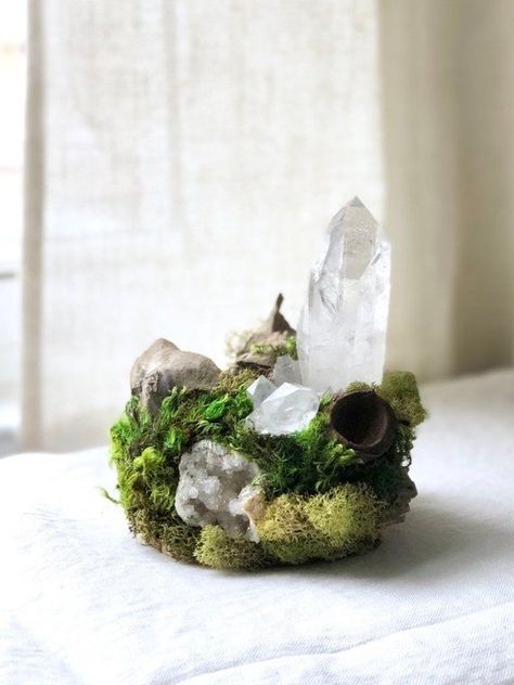 Moss Sculpture, Reindeer Lichen, Citrine Cluster, Tibetan Quartz, Lichen Moss, Crystal Room, Sculpture Home Decor, Crystal Garden, Crystal Aesthetic