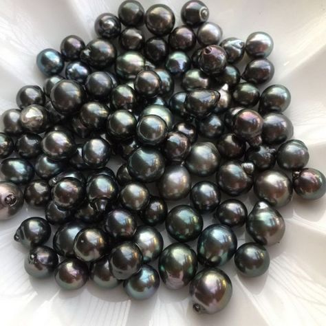 The Tahiti Pearl is a black color’s Pearl which is widely spread across the world. It is famous for its shine that has great sparkle. Tahiti Pearls have very purity in itself. It’s also known as “Queen of Pearls”. It’s grown in the warm water of the Polynesian lagoons. Tahitian Pearls are not overall black rather it’s a dark green body color. - Bulk Gemstones Pearl Earrings Outfit, Pearls Aesthetic, Tahiti Pearl, Black Pearl Jewelry, Cherry Pearl, Pearl Aesthetic, Queens Wedding, Tahitian Pearl Earrings, Dark Jewelry