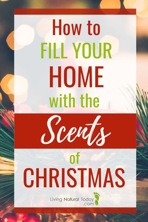 House Smell Good Hacks, Smell Good Hacks, Pine Needle Essential Oil, Make Your House Smell Good, Nutmeg Essential Oil, Christmas Tree Scent, House Smell Good, Natural Air Freshener, Cinnamon Essential Oil