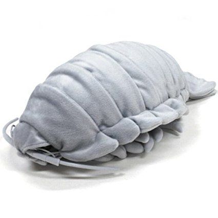 Oversized Stuffed Animals, Giant Isopod, Deep Sea Life, Deep Sea Creatures, Sea Creature, Plush Dolls, Sea Creatures, Stuffed Animal, Plush Toy