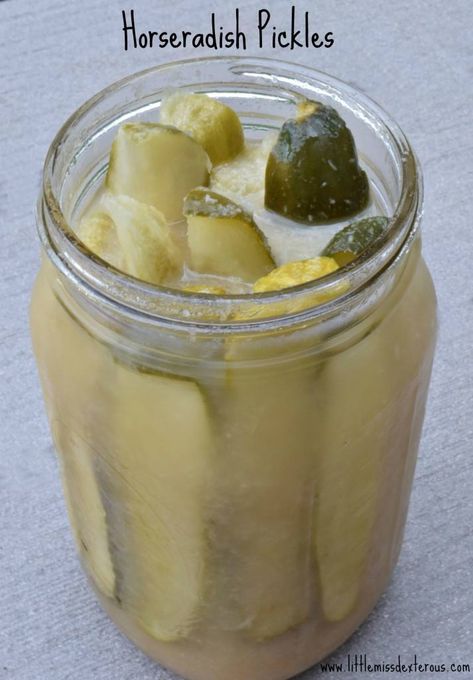 Horseradish Pickles! Pickled Foods, Best Pickles, Quick Appetizer, Pickles Recipe, Canning Pickles, In A Pickle, Pickled Eggs, Homemade Pickles, Pickled Veggies